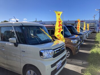 スズキの日開催中！！